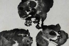 3 chiens