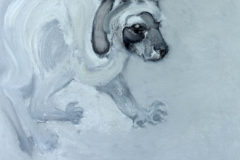 Chien blanc à tête noire黑头白狗